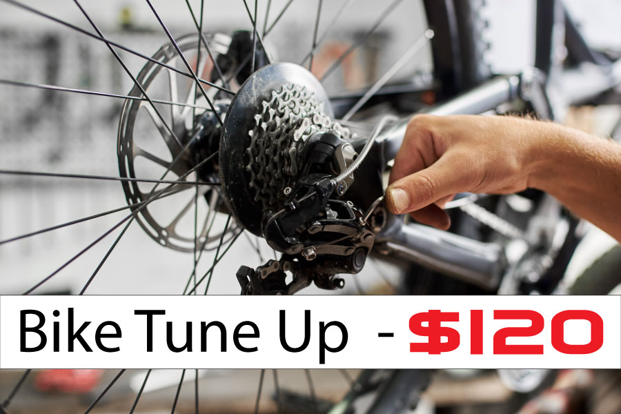 Bike Tune up 120